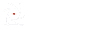 DSC White Logo